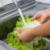 What to know about ‘explosive diarrhoea’ parasite outbreak in US