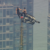 Two people climb to top of NYC’s Empire State Building