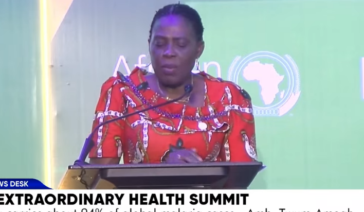 Africa carries 94% of global malaria cases – Amb. Twum-Amoah
