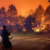 Around 12,000 people evacuated in France fires