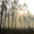 Major wildfire stabilises in central Spain but rising temperatures bring new alerts