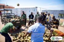AMA arrests coconut trader for unauthorised use of bus stop as storage facility