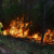 France, Spain and Greece battle wildfires as Europe swelters