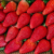 India wants to join the strawberry superpowers
