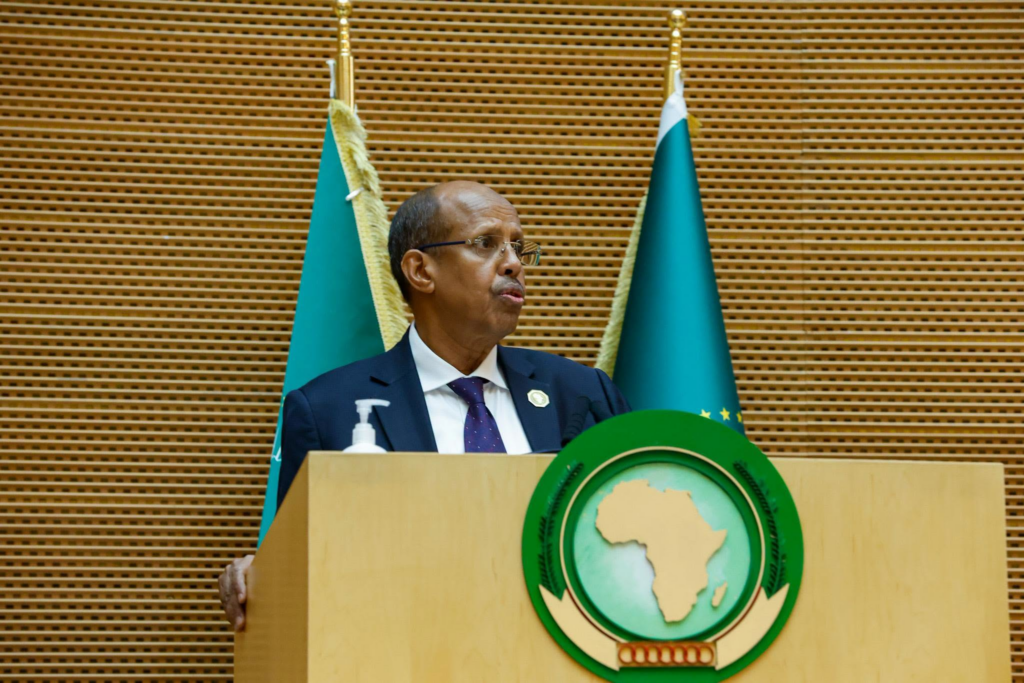 African Union condemns drone attack on...
