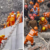 Four die in Delhi building collapse as rains batter India, trigger landslides