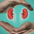 US FDA approves first-in-class treatment for  kidney disease