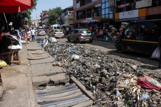 Environmental health practitioners push...