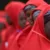 Nigeria’s mass wedding – and how telling lovers from fraudsters is proving tricky