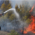 At least 12 dead, 54 injured as wildfires sweep through northern Algeria 