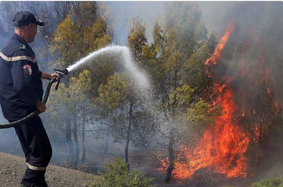 At least 12 dead, 54 injured as wildfires sweep through northern Algeria At least 12 dead, 54 injured as wildfires sweep through northern Algeria