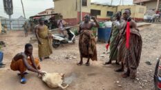 Pampaso chiefs invoke curses on Kumasi Mayor, Police Commander, Interior Minister over disputed land