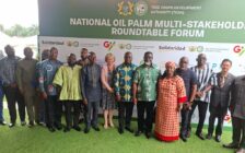 Government targets 100,000 hectares of new oil palm plantations