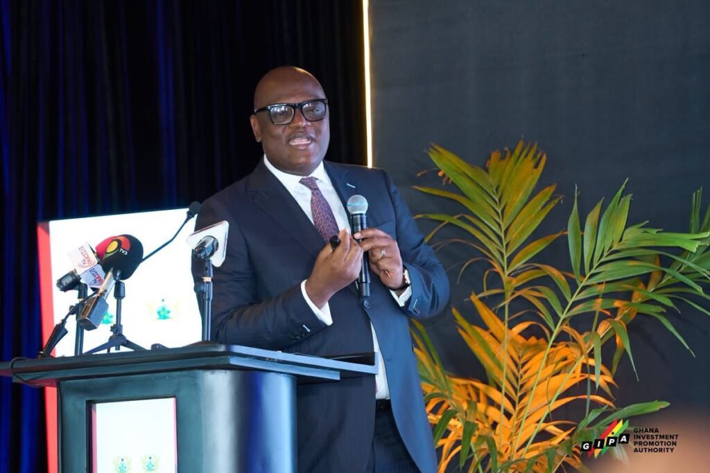 GIPA CEO calls for stronger coordination...