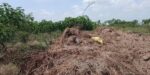 Sand-winning destroys over 50 acres of farmland at Tsumkpo