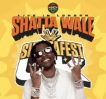 ‘Our hearts are with everyone affected’ — Shatta Wale’s management after ShattaFest UK tragedy