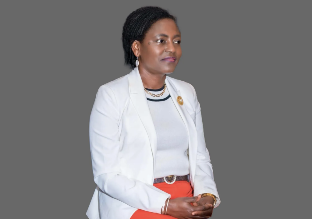 NPP must heal before choosing new leaders — NPP-USA Chairperson