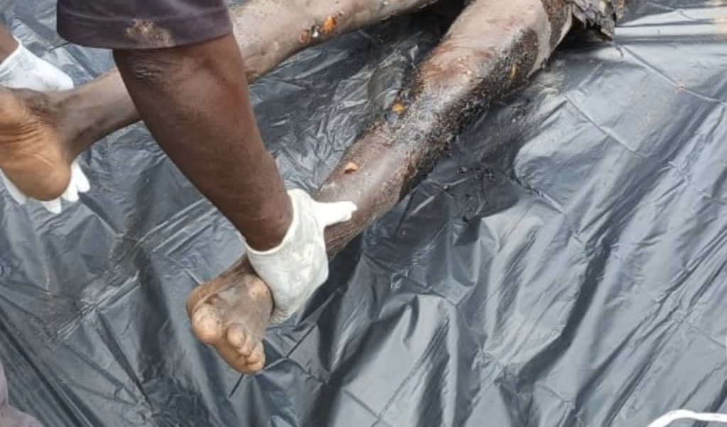 Farmer allegedly kills wife, dies by suicide in Bono Region 