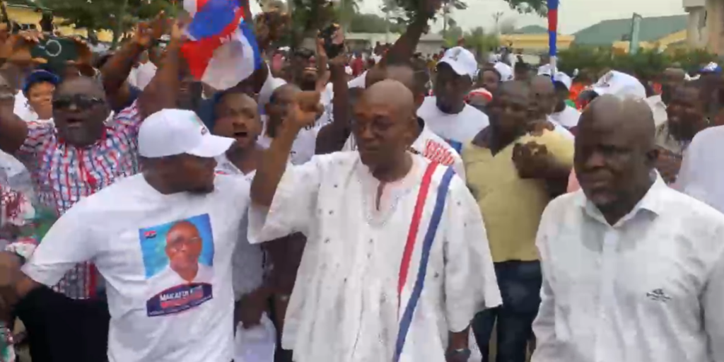 Makafui Woanyah retains NPP Volta Regional ...