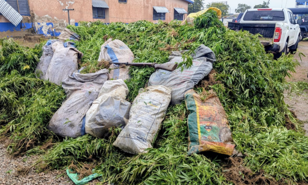 Police arrest 14 suspected...