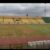 Baba Yara stadium will be ready for 2026/27 football season – NSA boss