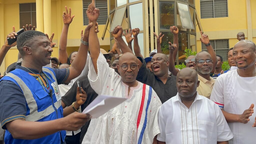NPP polls: Makafui Woanya re-elected as...