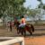 Accra’s only public horse racing course destroyed at Borteyman