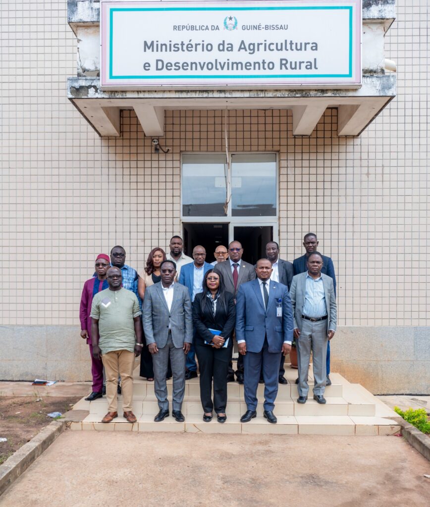 Guinea-Bissau chosen to pilot ECOWAS...