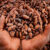 Cocoa prices risen by 95% since March 2026, to average US$5,670 in 2026