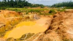 Galamsey destroys over 100 acres of farmland at Akyem Atobriso