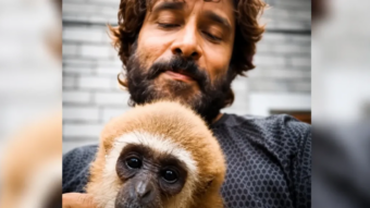 Indian actor’s video with endangered gibbon sparks investigation
