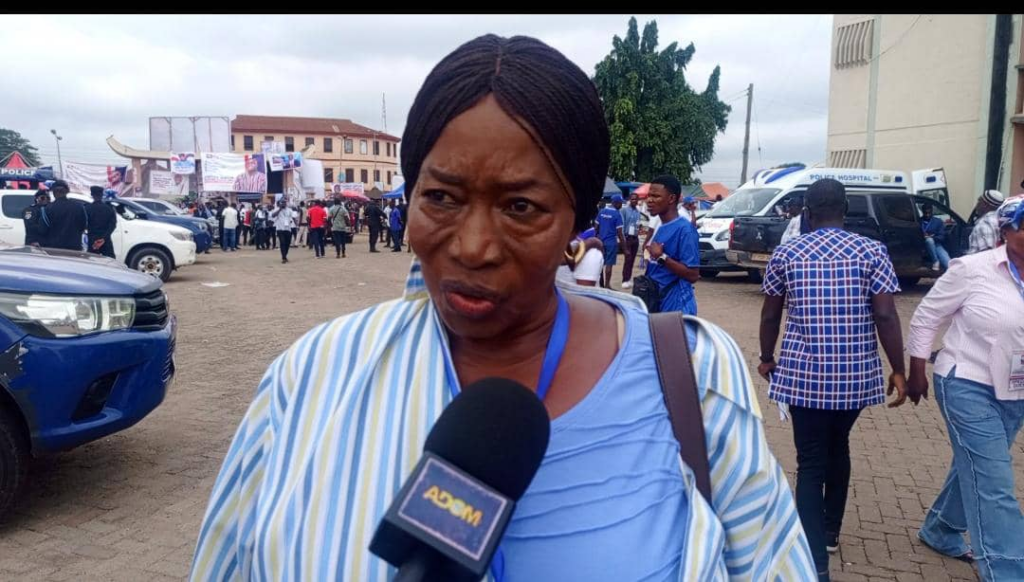 Alleged injunction against NPP Ashanti regional polls "invalid" – Committee Chairperson