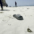 Tunisia coast guard recovers eight bodies of migrants whose boat sank