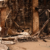 Washington state wildfires force 60,000 people to evacuate homes