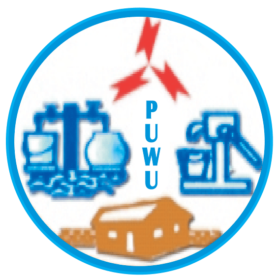 PUWU urges government to retain public ownership of ECG, NEDCo  
