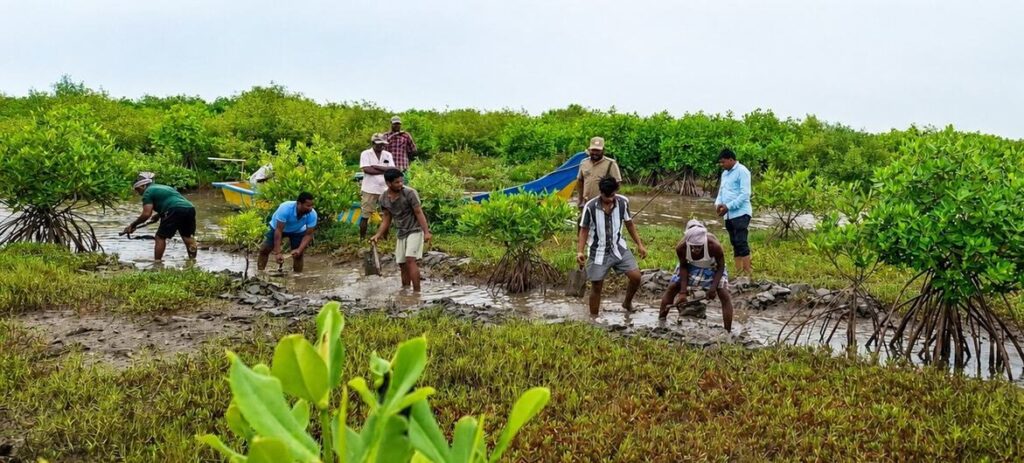 Africa faces growing threat from...
