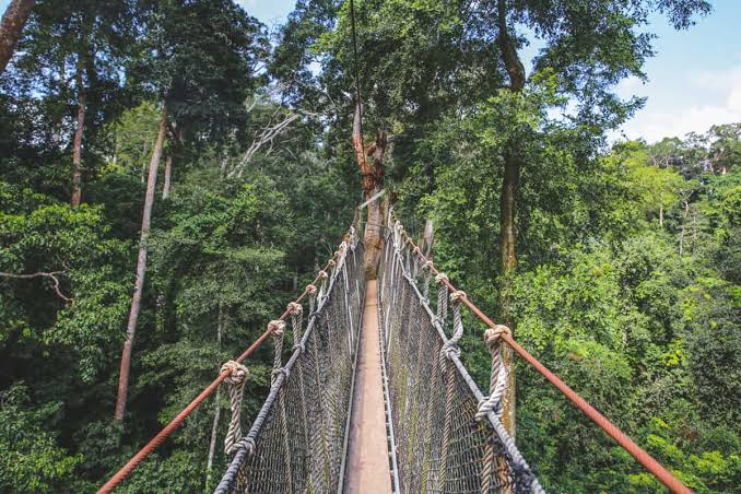 Kakum National Park killing: Brother...