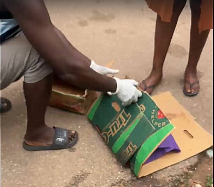 7-month-old baby found dead in a drain at...