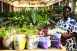 Ghana overlooking therapeutic value of flowers despite $1.49m import bill – Parks and Gardens Administrator