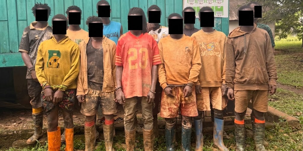 Forestry Commission arrests 12 illegal...