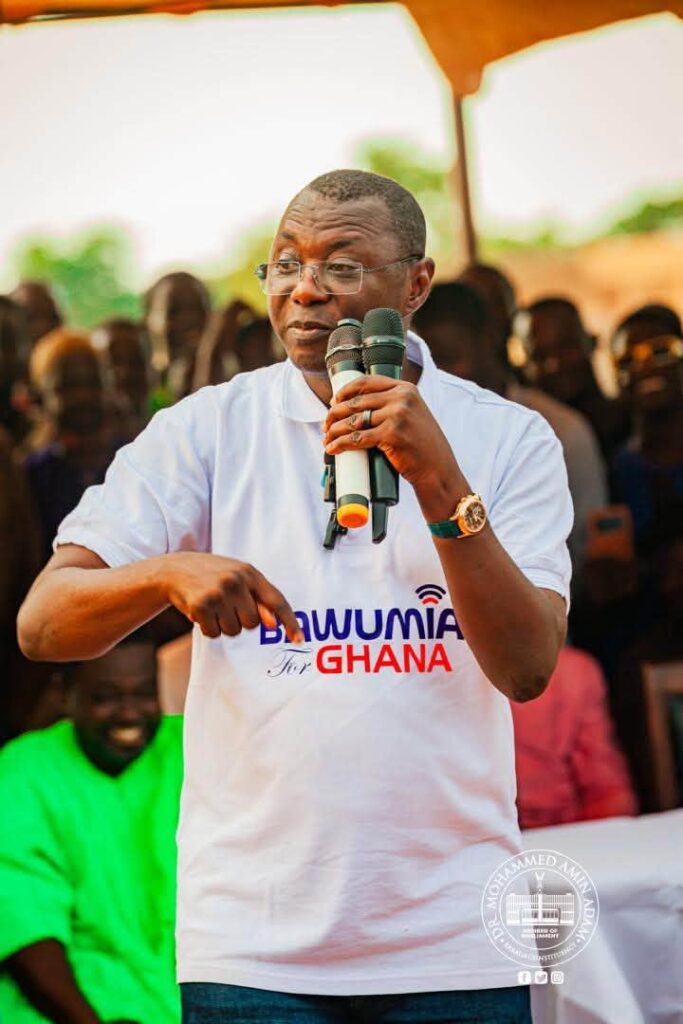 NPP risks losing Karaga seat if Amin Adam...