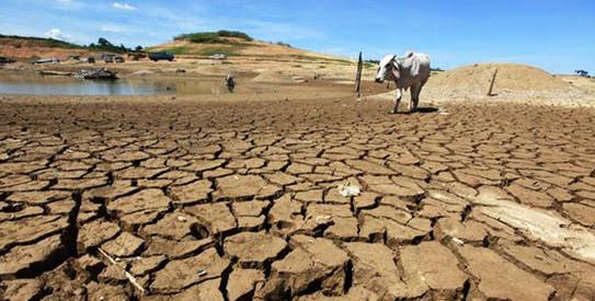 ECOWAS must adopt common disaster-preparedness laws – Sierra Leone Minority Leader ECOWAS must adopt common disaster-preparedness laws – Sierra Leone Minority Leader