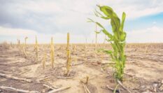 Climate-vulnerable countries spend nearly 25 times more on debt than climate action – ActionAid report