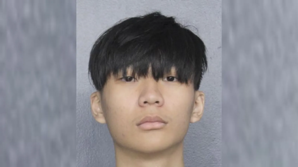 Singaporean man pleads guilty in US to...
