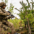 UK in talks about joining global defence bank led by Canada