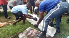 Forklift kills roadside pawpaw seller at Asokwa Brewery