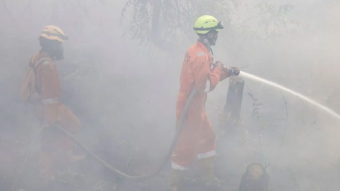 More than 170,000 respiratory cases recorded in haze-choked Indonesia
