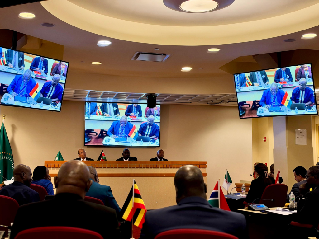 AGN Chair outlines Africa’s strategic...