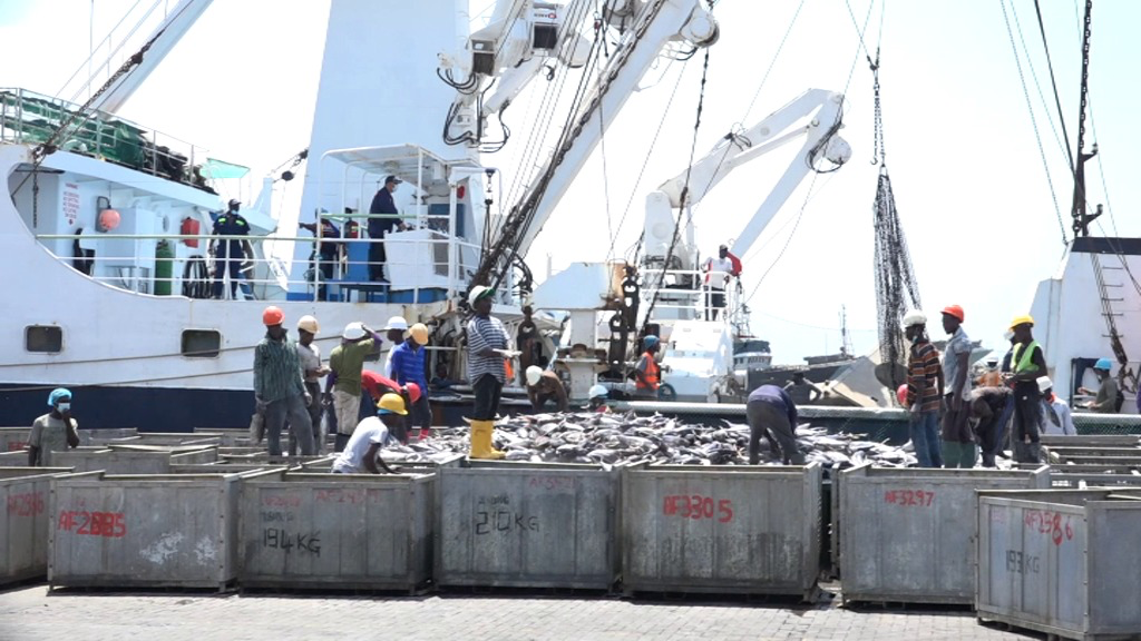 Ghana’s tuna industry in crisis as 20...