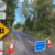 Boy, 12, dies after car hit by train